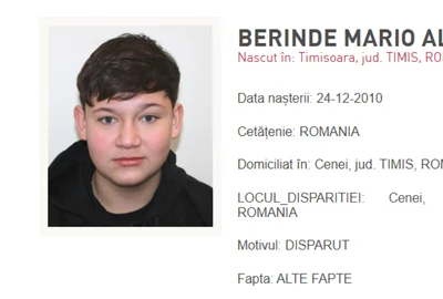 copil ucis Cenei Timiş foto Poliţia Română png