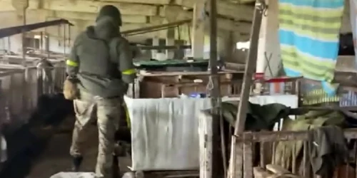 Membru SBU verificand dormitorul de ferma de proci al rusilor FOTO Twitter jpg