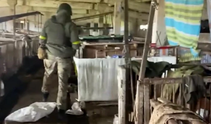 Inspecție la „dormitoarele” improvizate de soldații ruși într-o fermă de porci FOTO Twitter