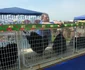 targ agro-zoo bt
