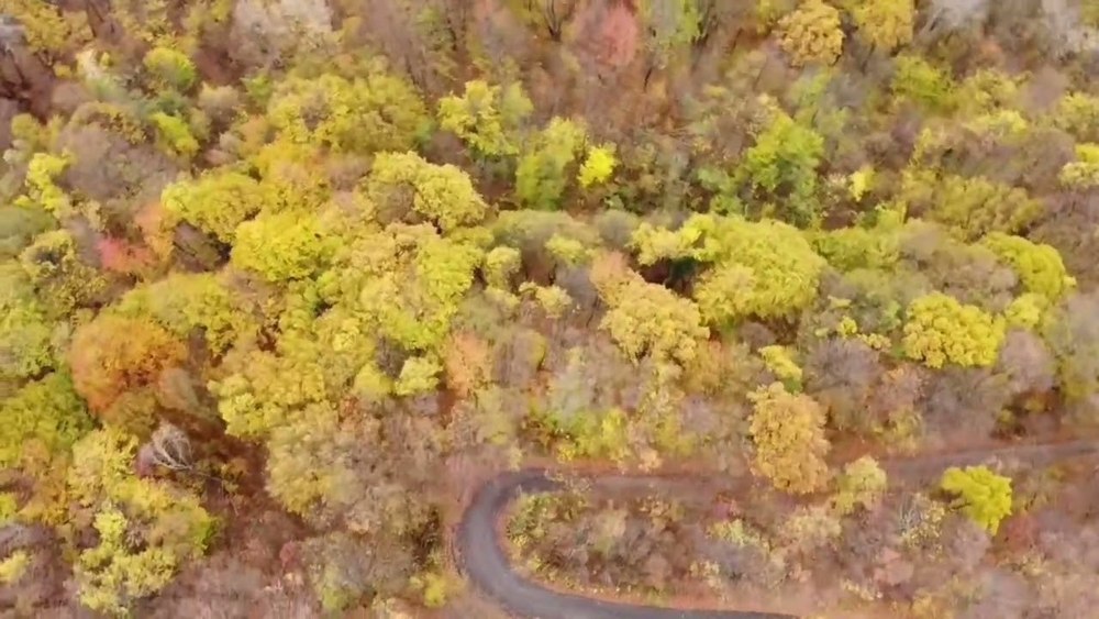 Unul dintre cele mai frumoase locuri de agrement din Prahova, văzut din dronă VIDEO 