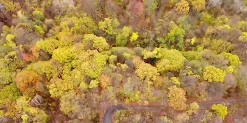 Zona de agrement Ruda