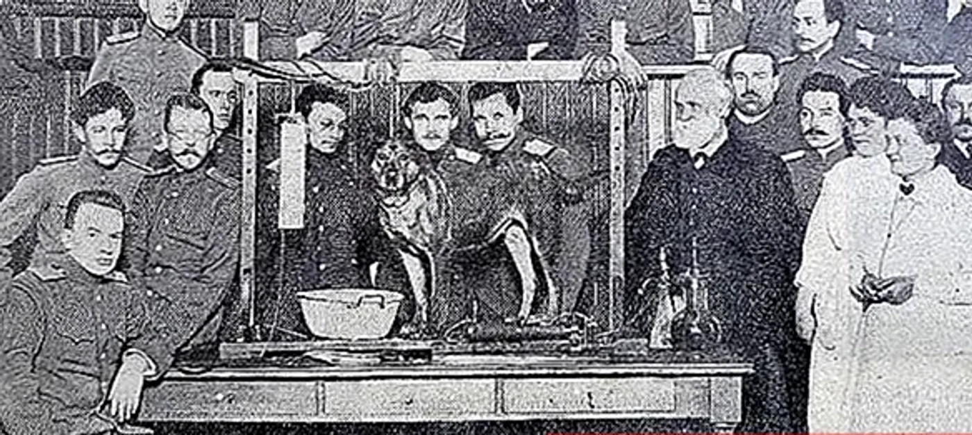 Experimentul lui Pavlov. FOTO warbletoncouncil.org