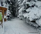 Statiunea montana Râușor din Retezat Foto Daniel Guță ADEVĂRUL (43) jpg