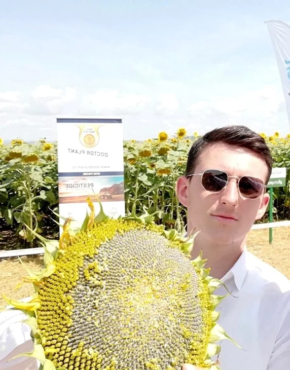 Alexandru Maties procesează floarea soarelui, grâu, porumb