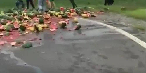 pepeni cazuti