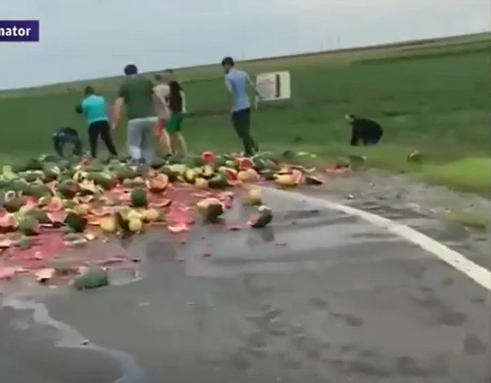 Pepeni căzuţi pe şosea Captură video