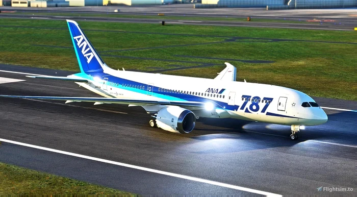 Avion All Nippon Airways. FOTO: X / @kurorin_fs