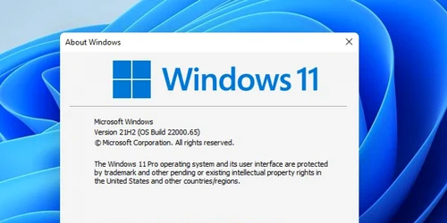 Versiune Windows 11