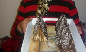 prajitura carpati jpeg