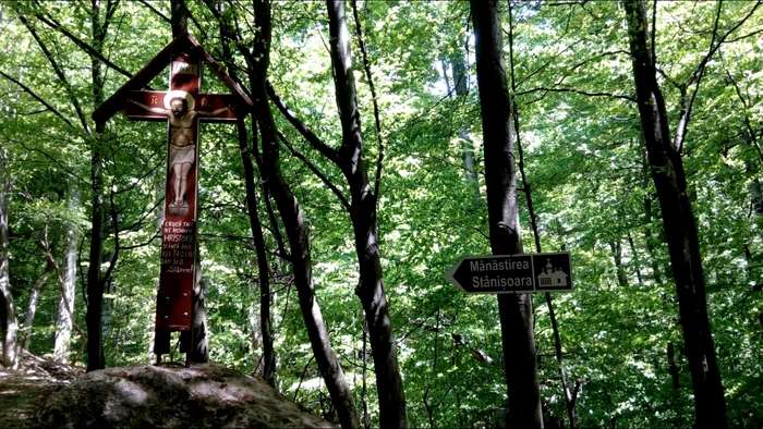 Drumul montan care duce la Mănăstirea Stânişoara