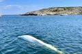 balena spion FOTO FB OneWhale jpg
