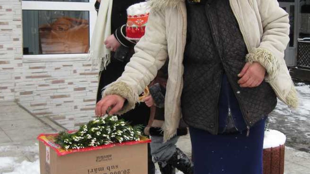 Vânzarea fără autorizaţie a ghioceilor este infracţiune, avertizează Poliţia Locală Sfântu Gheorghe