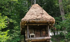 Casa Muzeul Sibiu jpg