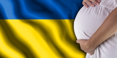 shutterstock 1428866420 jpg