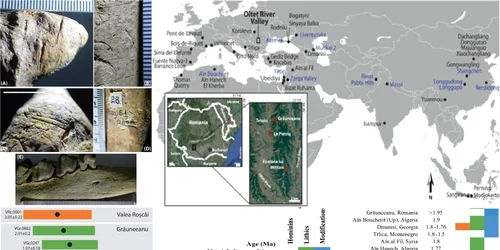 Descoperiri epocale într-un sit arheologic din România la Vâlcea Colaj nature-com