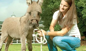 CLIIMA20121002 0045 1 jpeg