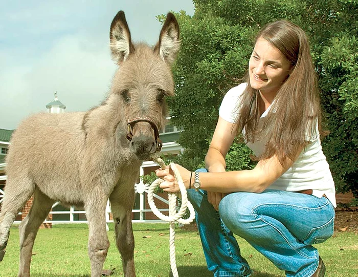 Emma, fericită că se deplasează normal, după intervenţia veterinarilor