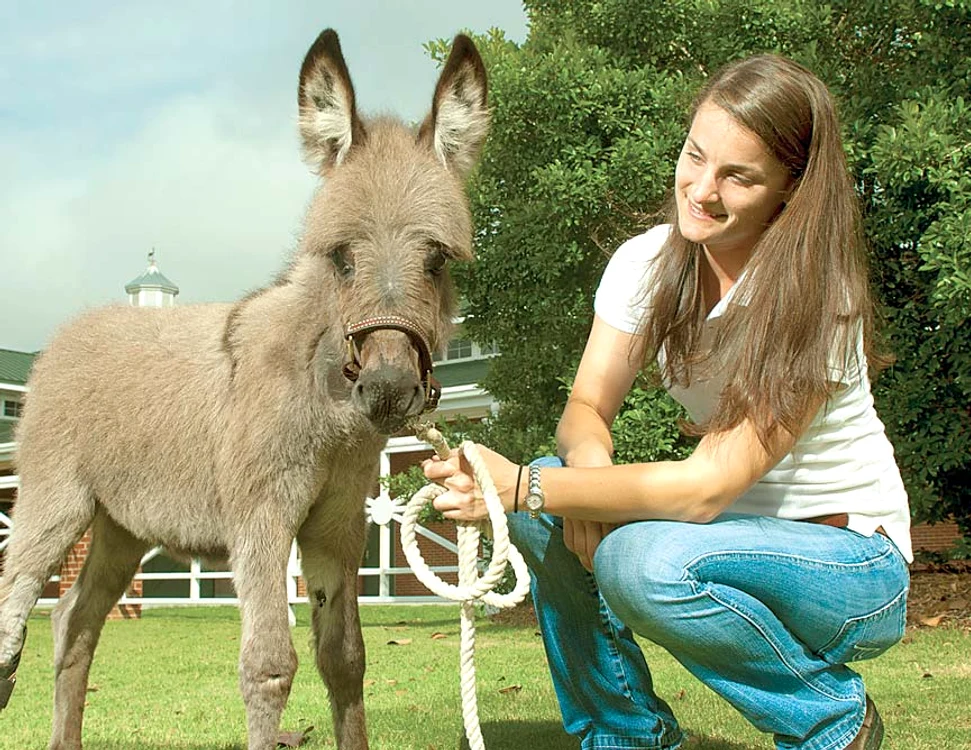 Emma, fericită că se deplasează normal, după intervenţia veterinarilor