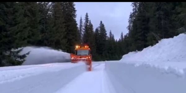 zapada transalpina