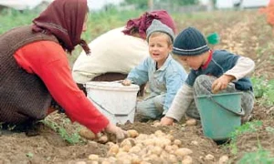 CLIIMA20140408 0177 1 jpeg