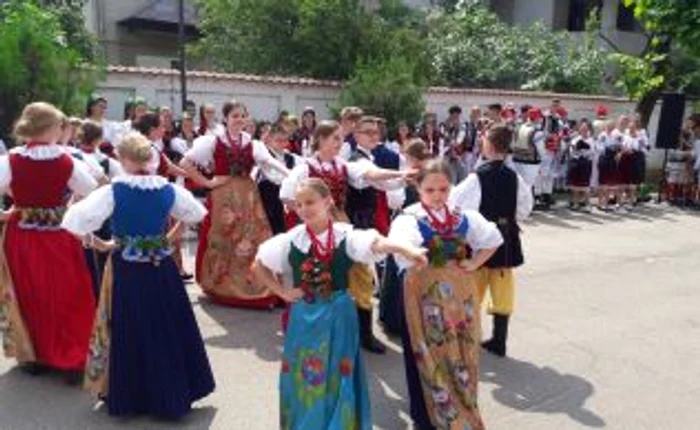 festival de calus slatina