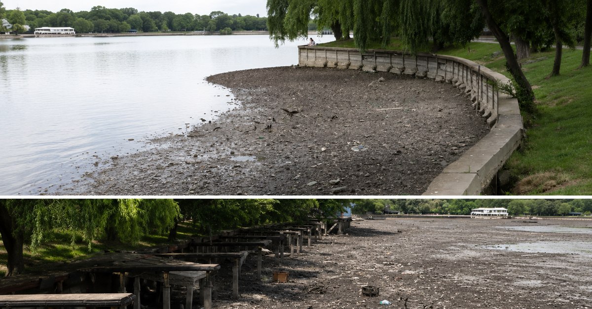 Descoperiri surprinzătoare la Lacul Herăstrău