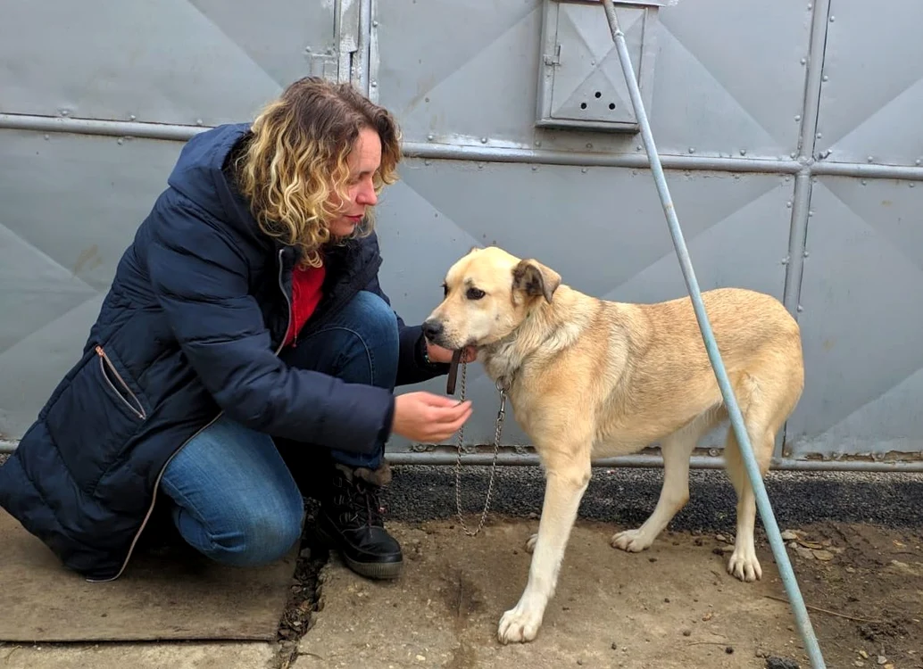 
    Bonnie și-a cunoscut noua stăpânăfoto: Facebook / Faoro Sport Dogs  