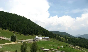 manastirea petrova01 jpg