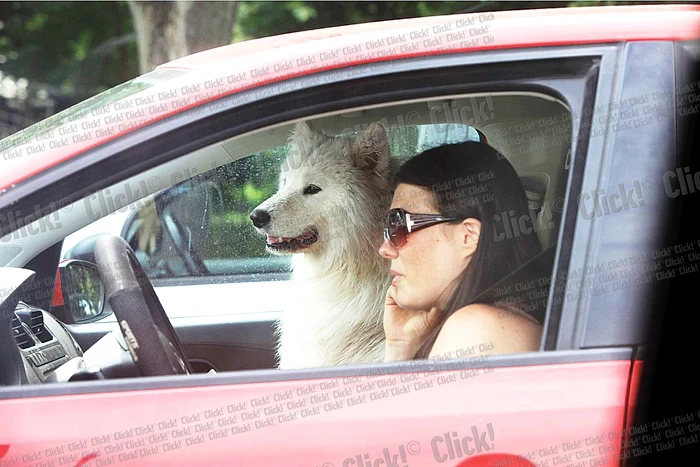 
    Samy îi ţine Paulei  de “şase” în trafic (Foto: lexar)  