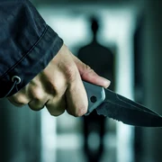 cutit shutterstock 768616762 jpeg