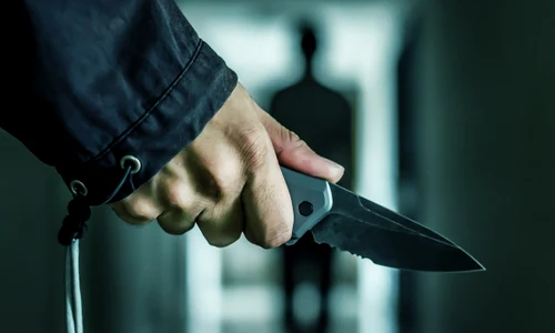 cutit shutterstock 768616762 jpeg