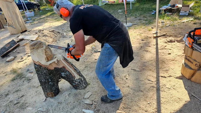 Carver care sculptează un butuc de lemn la Festivalul Național de la Vaideeni - Pensiunea Cerna