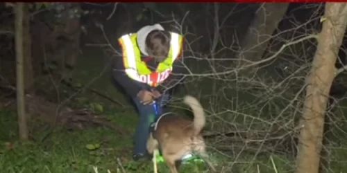 Poliţia germană a dat de urmele unui canibal care a ascuns oasele victimei într-o pădure din Berlin foto captură Bild/ You Tube