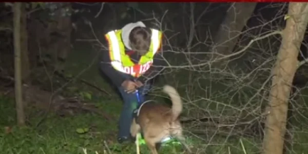 Poliţia germană a dat de urmele unui canibal care a ascuns oasele victimei într-o pădure din Berlin foto captură Bild/ You Tube 