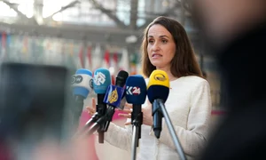 Oana Țoiu FOTO Profimedia