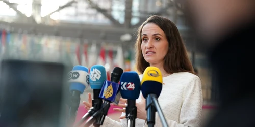 Oana Țoiu FOTO Profimedia 
