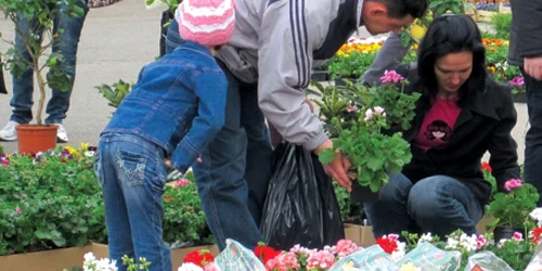 Reşiţenii s-au înghesuit să cumpere flori ieftine