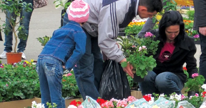 Reşiţenii s-au înghesuit să cumpere flori ieftine