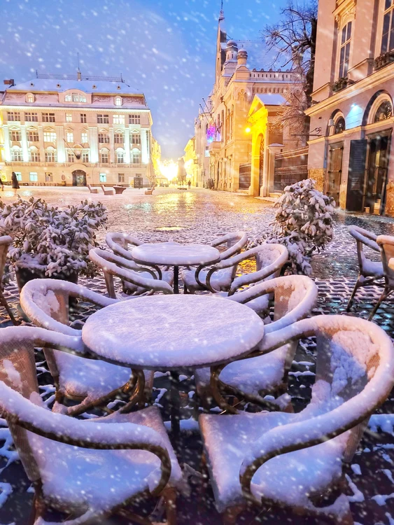 Prima ninsoare din 2014 la Timișoara FOTO Răzvan Vitionescu