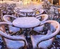Prima ninsoare din 2014 la Timișoara FOTO Răzvan Vitionescu