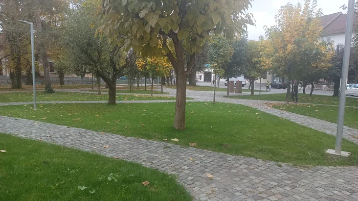 Nicio bancă nu se află în parcul de pe Calea Eroilor Foto: Alin Ion