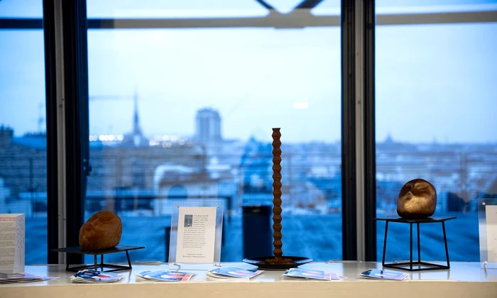 Retrospectiva „Brancusi” de la Centre Pompidou (foto: Cezara Popovici / ICR)
