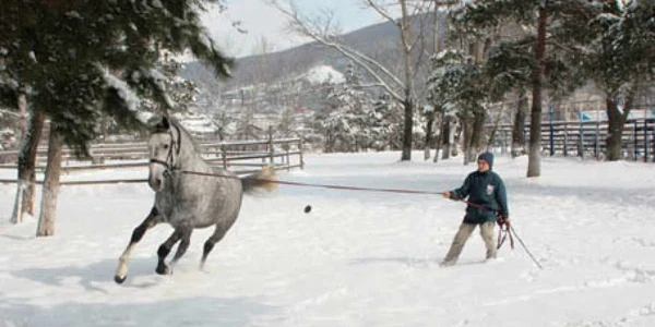 Baza Hipică de la Piatra Neamţ este considerată una dintre cele mai frumoase din Europa