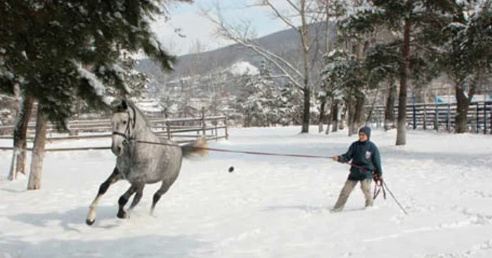 Baza Hipică de la Piatra Neamţ este considerată una dintre cele mai frumoase din Europa