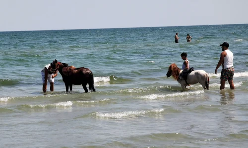 turisti mamaia cai spalati in mare jpeg
