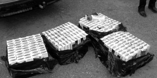 Ţigările de contrabandă au fost confiscate de poliţişti