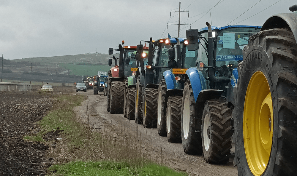 Avertismentul fermierilor despre cerealele din Ucraina: „Vine foarte multă marfă modificată genetic, în special soia și porumb”