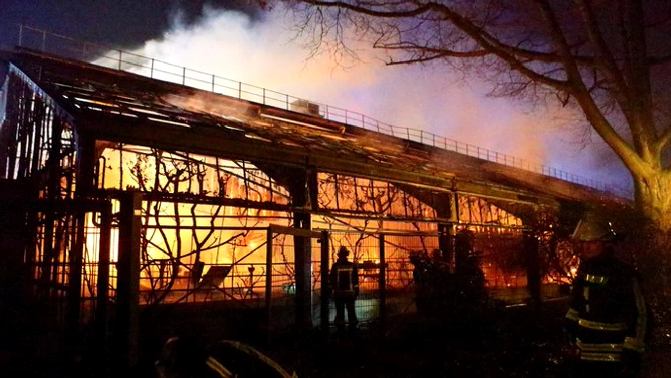 
    Incendiul s-a produs, cel mai probabil, din cauza artificiilor sau lampioanelorFoto: Twitter  