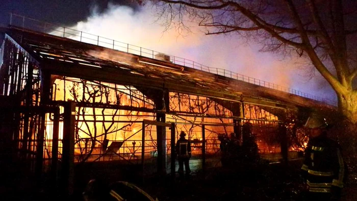 Incendiul s-a produs, cel mai probabil, din cauza artificiilor sau lampioanelorFoto: Twitter